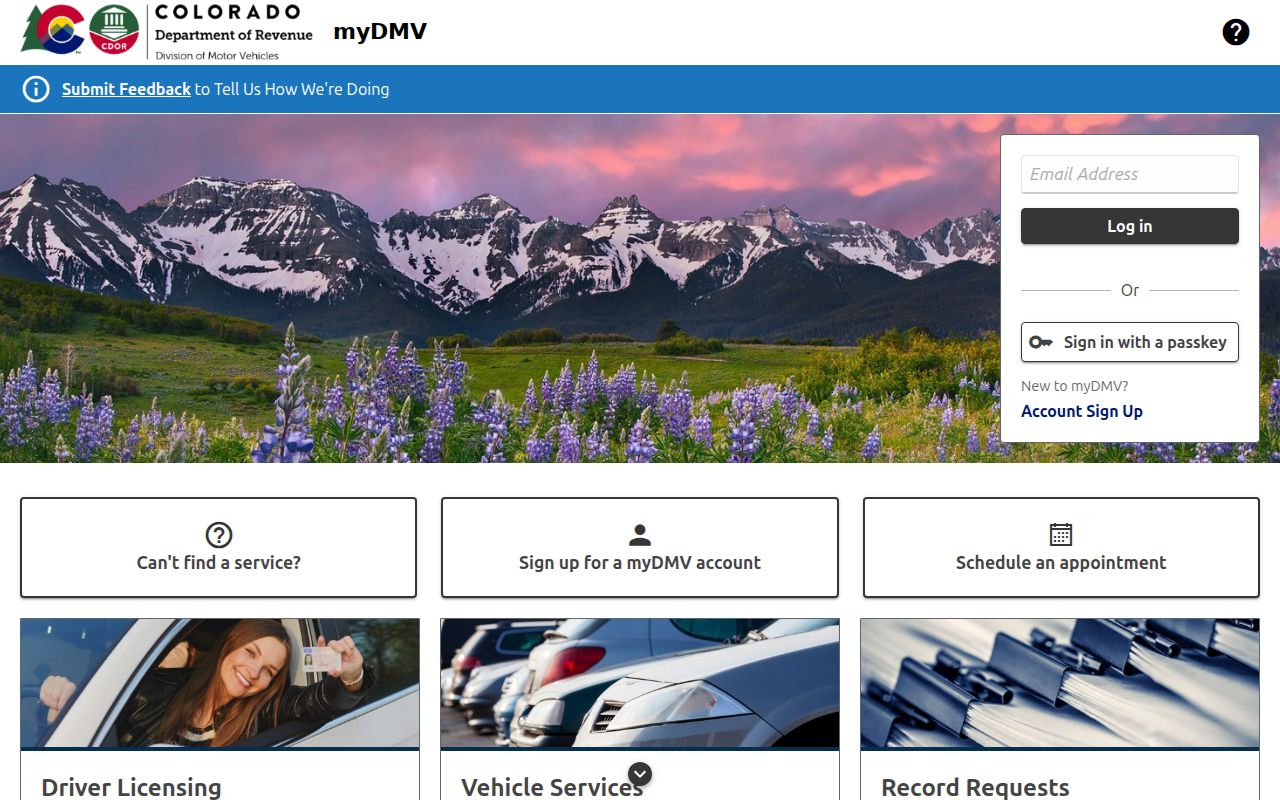 Mineral County traffic court records and Colorado myDMV portal
